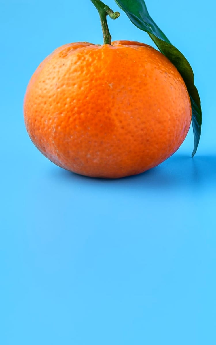 Mandarin orange on a blue background